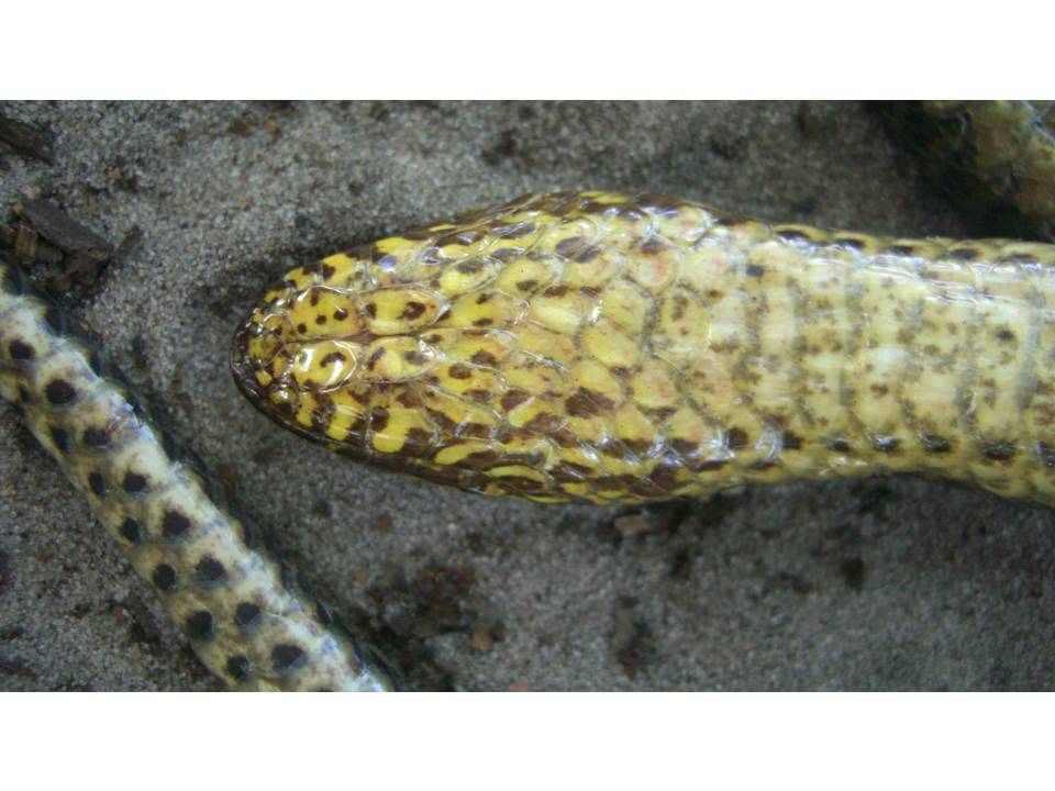 FIGURE 3 FIGURE 3